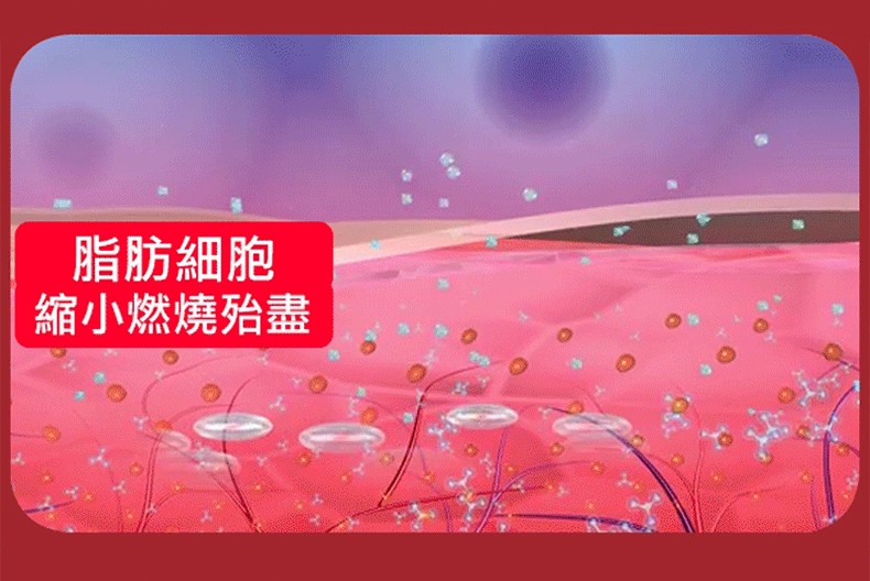 790px_13.jpg